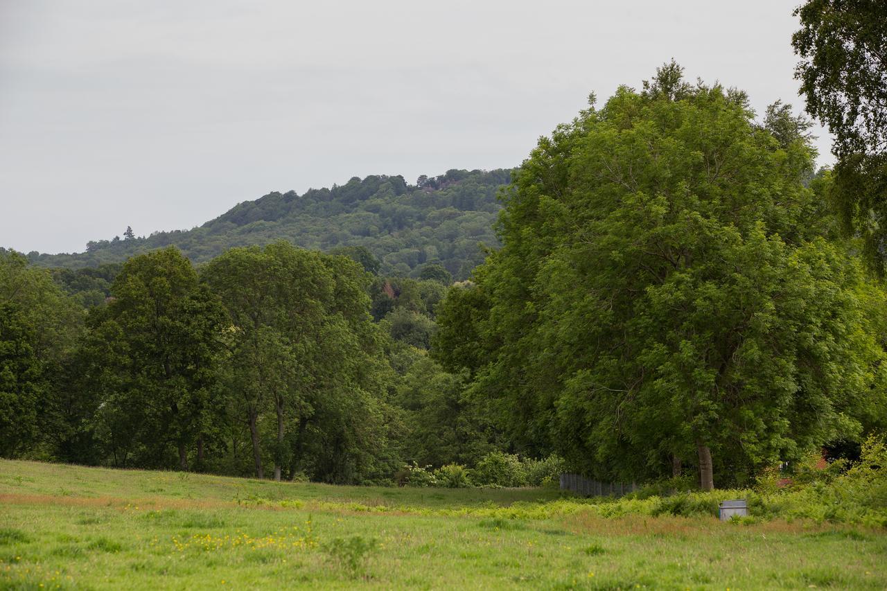 Отель The Kings Arms Fernhurst Экстерьер фото